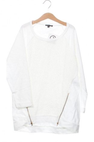 Damen Shirt Warehouse, Größe XS, Farbe Mehrfarbig, Preis 17,00 €