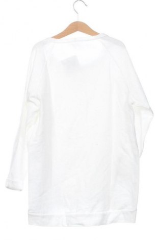 Damen Shirt Warehouse, Größe XS, Farbe Mehrfarbig, Preis 17,00 €