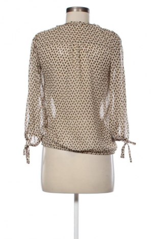 Damen Shirt Zara, Größe S, Farbe Mehrfarbig, Preis € 13,75
