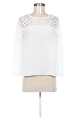 Damen Shirt Zara, Größe S, Farbe Weiß, Preis € 13,75