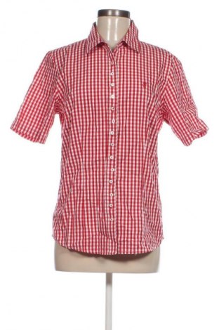 Damenbluse Alpin De Luxe, Größe L, Farbe Mehrfarbig, Preis 12,99 €