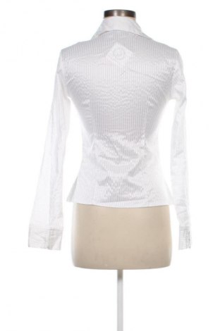 Damenbluse Clockhouse, Größe M, Farbe Weiß, Preis 8,99 €