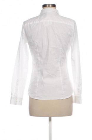 Damenbluse H&M, Größe M, Farbe Weiß, Preis € 17,99