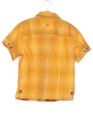 Damenbluse Jack Wolfskin, Größe XS, Farbe Mehrfarbig, Preis € 17,99