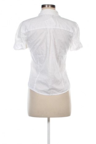 Damenbluse Kenvelo, Größe M, Farbe Weiß, Preis € 12,74