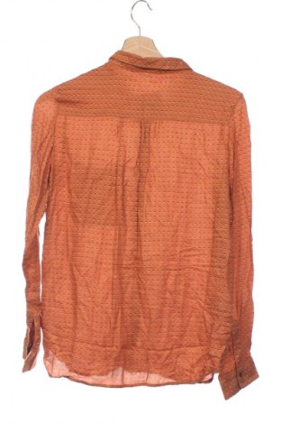 Damenbluse Promod, Größe XS, Farbe Mehrfarbig, Preis 28,99 €
