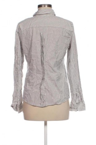 Damenbluse Strenesse, Größe M, Farbe Mehrfarbig, Preis 56,99 €