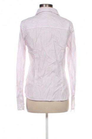 Damenbluse Zara, Größe L, Farbe Mehrfarbig, Preis € 18,99