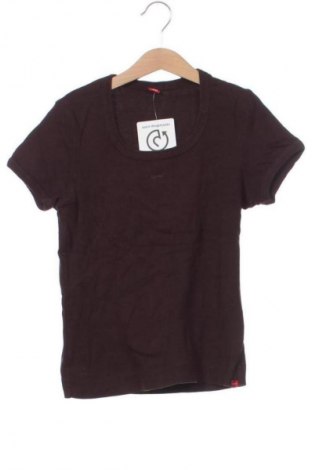 Damski T-shirt Esprit, Rozmiar XS, Kolor Brązowy, Cena 59,99 zł