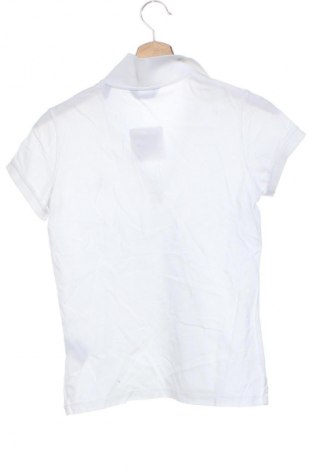 Damski T-shirt Gant, Rozmiar XS, Kolor Biały, Cena 180,99 zł