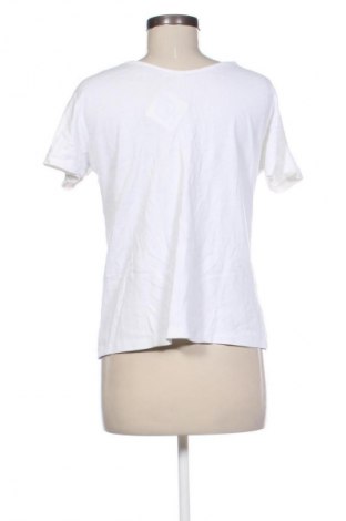 Damski T-shirt Harmony, Rozmiar XL, Kolor Kolorowy, Cena 76,11 zł