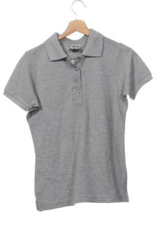 Damen T-Shirt James & Nicholson, Größe XS, Farbe Grau, Preis 9,62 €