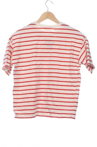Tricou de femei Pull&Bear, Mărime XS, Culoare Multicolor, Preț 55,99 Lei