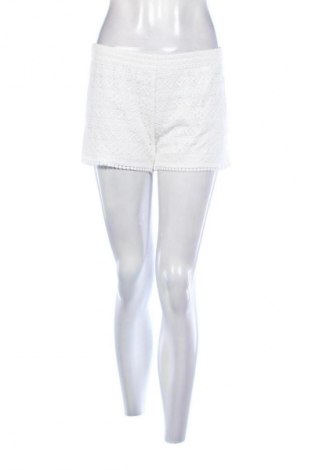 Damen Shorts Colloseum, Größe L, Farbe Mehrfarbig, Preis € 7,99