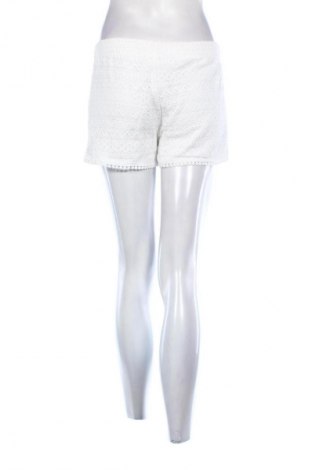 Damen Shorts Colloseum, Größe L, Farbe Mehrfarbig, Preis € 7,99