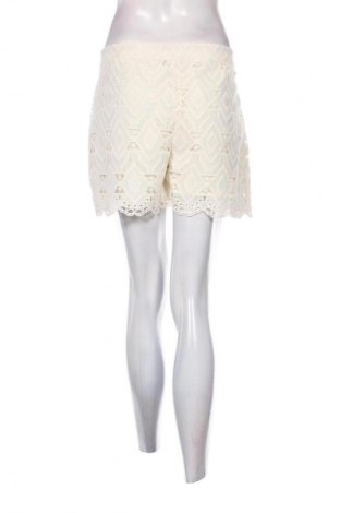 Damen Shorts Mexx, Größe XL, Farbe Ecru, Preis € 39,43