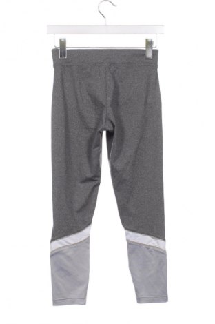 Damskie legginsy Oysho, Rozmiar XS, Kolor Szary, Cena 64,00 zł