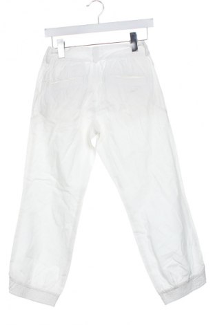 Damenhose Calvin Klein, Größe XS, Farbe Ecru, Preis 50,99 €