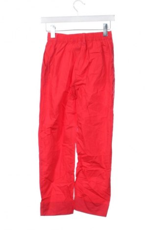 Damskie spodnie Terranova, Rozmiar XS, Kolor Czerwony, Cena 95,99 zł