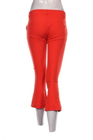 Damenhose Try Me, Größe M, Farbe Rot, Preis 11,99 €