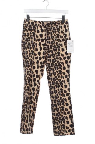 Damenhose Zara, Größe XS, Farbe Mehrfarbig, Preis € 31,69