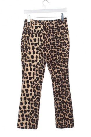 Damenhose Zara, Größe XS, Farbe Mehrfarbig, Preis € 31,69