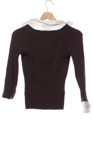 Damenpullover Cable & Gauge, Größe XS, Farbe Braun, Preis € 14,83