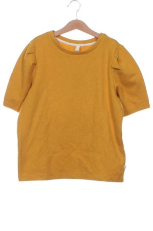 Damenpullover Q/S by S.Oliver, Größe XS, Farbe Orange, Preis 55,06 €