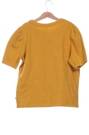 Damenpullover Q/S by S.Oliver, Größe XS, Farbe Orange, Preis 55,06 €