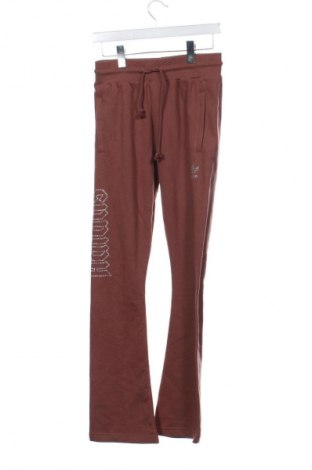 Damen Sporthose Adidas Originals x Pharrell Williams, Größe XS, Farbe Braun, Preis € 40,83