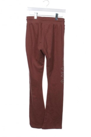 Damen Sporthose Adidas Originals x Pharrell Williams, Größe XS, Farbe Braun, Preis € 40,83