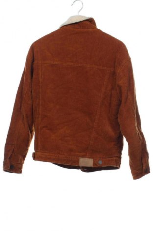 Γυναικείο μπουφάν Pull&Bear, Μέγεθος XS, Χρώμα Καφέ, Τιμή 37,99 €