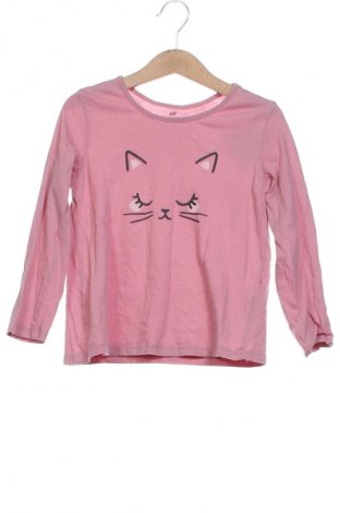 Παιδική μπλούζα H&M, Μέγεθος 5-6y/ 116-122 εκ., Χρώμα Ρόζ , Τιμή 6,34 €