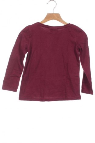 Kinder Shirt Harry Potter, Größe 4-5y/ 110-116 cm, Farbe Rot, Preis € 30,25