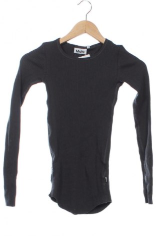 Kinder Shirt Molo, Größe 12-13y/ 158-164 cm, Farbe Grau, Preis € 32,99
