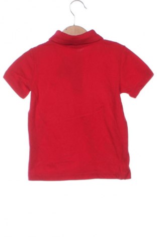 Детска блуза Unbranded, Размер 5-6y/ 116-122 см, Цвят Червен, Цена 12,00 лв.