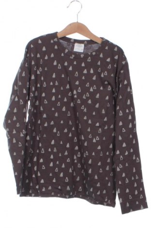 Kinder Shirt Zara, Größe 10-11y/ 146-152 cm, Farbe Mehrfarbig, Preis 4,99 €