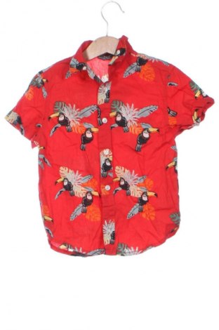 Dětská košile  Primark, Velikost 3-4y/ 104-110 cm, Barva Vícebarevné, Cena  129,00 Kč