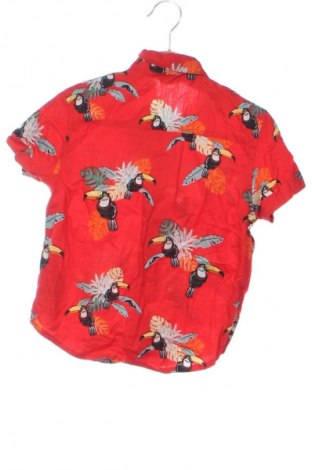 Dětská košile  Primark, Velikost 3-4y/ 104-110 cm, Barva Vícebarevné, Cena  129,00 Kč