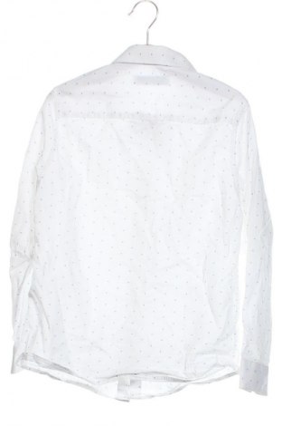 Detská košeľa  Zara, Veľkosť 7-8y/ 128-134 cm, Farba Viacfarebná, Cena  17,72 €