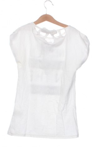 Tricou pentru copii Artigli, Mărime 11-12y/ 152-158 cm, Culoare Multicolor, Preț 54,34 Lei