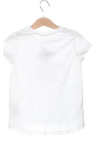 Dziecięcy T-shirt Coccodrillo, Rozmiar 3-4y/ 104-110 cm, Kolor Biały, Cena 28,28 zł