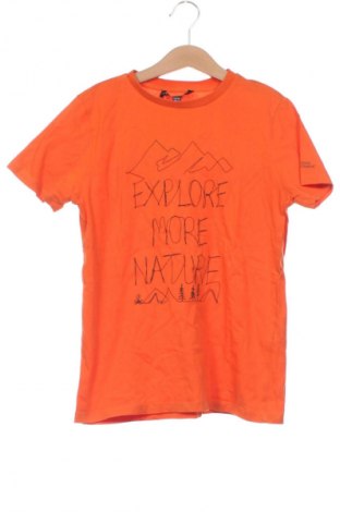 Tricou pentru copii National Geographic, Mărime 8-9y/ 134-140 cm, Culoare Portocaliu, Preț 50,60 Lei