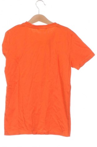 Tricou pentru copii National Geographic, Mărime 8-9y/ 134-140 cm, Culoare Portocaliu, Preț 50,60 Lei