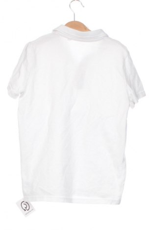 Kinder T-Shirt Next, Größe 9-10y/ 140-146 cm, Farbe Weiß, Preis € 7,60