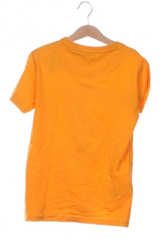 Tricou pentru copii Nukutavake, Mărime 8-9y/ 134-140 cm, Culoare Multicolor, Preț 37,95 Lei