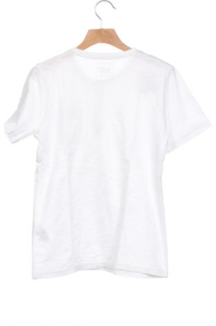 Tricou pentru copii Palomino, Mărime 8-9y/ 134-140 cm, Culoare Alb, Preț 24,69 Lei