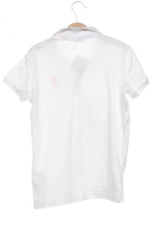 Детска тениска U.S. Polo Assn., Размер 10-11y/ 146-152 см, Цвят Бял, Цена 20,00 лв.