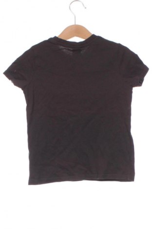 Dziecięcy T-shirt Unbranded, Rozmiar 2-3y/ 98-104 cm, Kolor Brązowy, Cena 18,99 zł