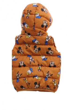 Παιδικό γιλέκο Disney, Μέγεθος 9-12m/ 74-80 εκ., Χρώμα Πολύχρωμο, Τιμή 11,10 €